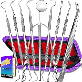 G.CATACC 10 Pack Dental Tools, Professional Plaque Remover for Teeth Cleaning Tools Set, Stainless Steel Hygiene Kit with ...