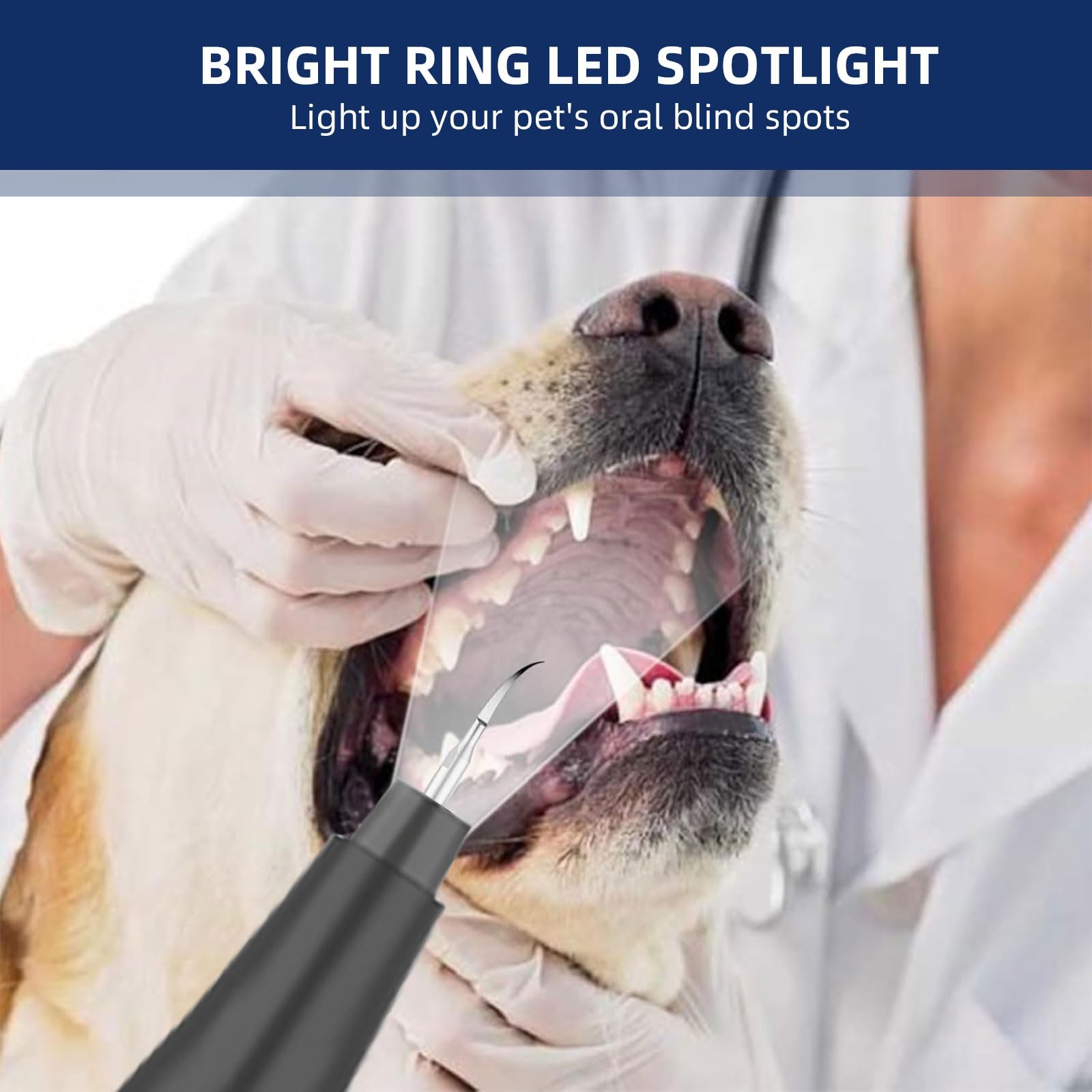Herramienta de eliminación de placa dental: kit de limpieza de dientes de perro, raspador dental para sarro y placa, 3 modos de limpieza, carga USB, herramientas de limpieza de dientes con