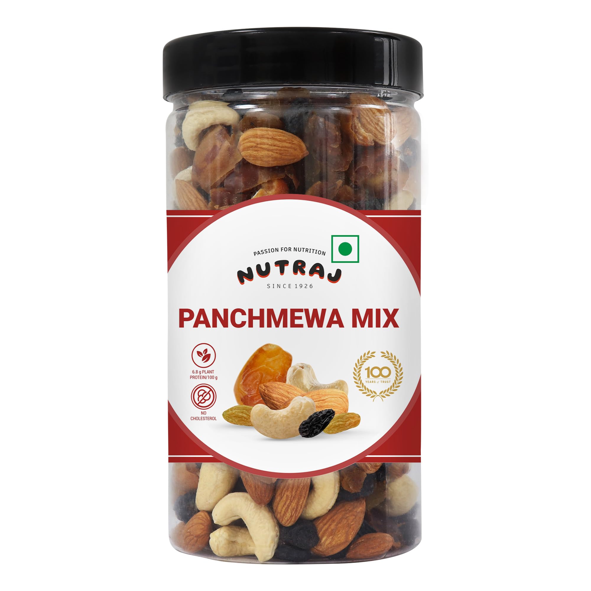 Nutraj Classic Panchmeva Mix 400 g Jar-image-31