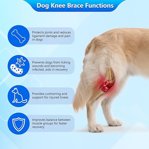 Miniatura 3 de Rodillera para perro para pierna trasera desgarrada del ligamento cruzado anterior, envoltura ortopédica para patas traseras con estabilizadores de
