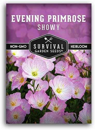 Miniatura 1 de Semillas de onagra llamativas para plantar, 1 paquete con instrucciones para plantar y cultivar Pinkladies en el jardín de flores de tu hogar,