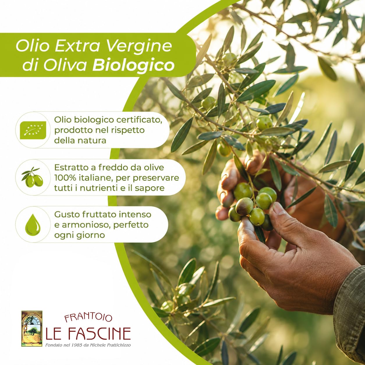Le Fascine Olio Extravergine d'Oliva Provenzale Biologico 100% Italiano Prodotto da mono cultivar Provenzale (Latta da 3 Litri)