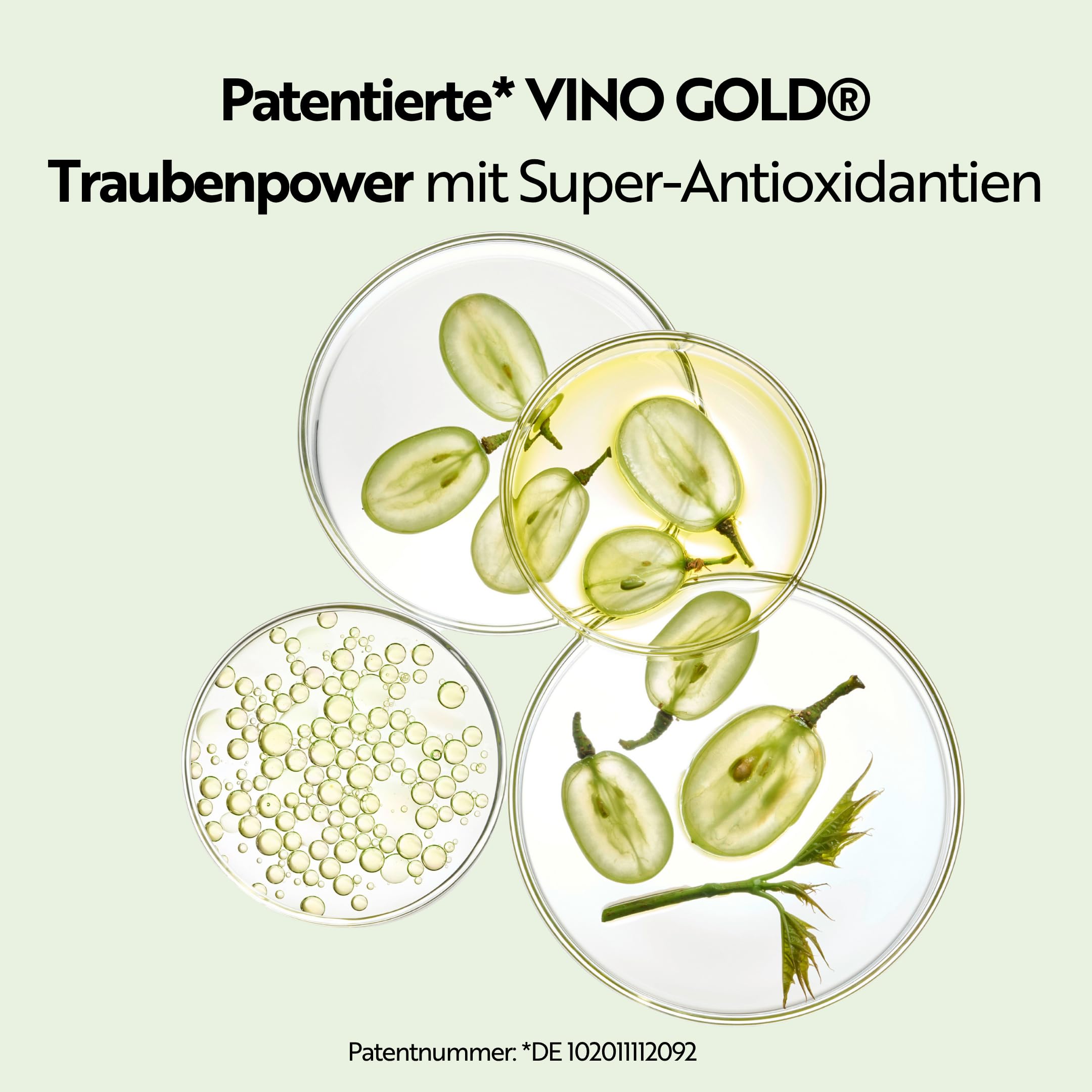M. Asam VINO GOLD Straffende Körpercreme (500 ml) – reichhaltige Anti-Aging Körperpflege für glatte Haut, verbessert die Hautfestigkeit, mit Aloe Vera, Koffein, Vitamin E & B3, vegan
