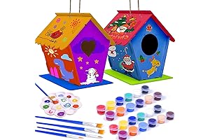 DIY Build Your Own Birdhouse Kit for Kids