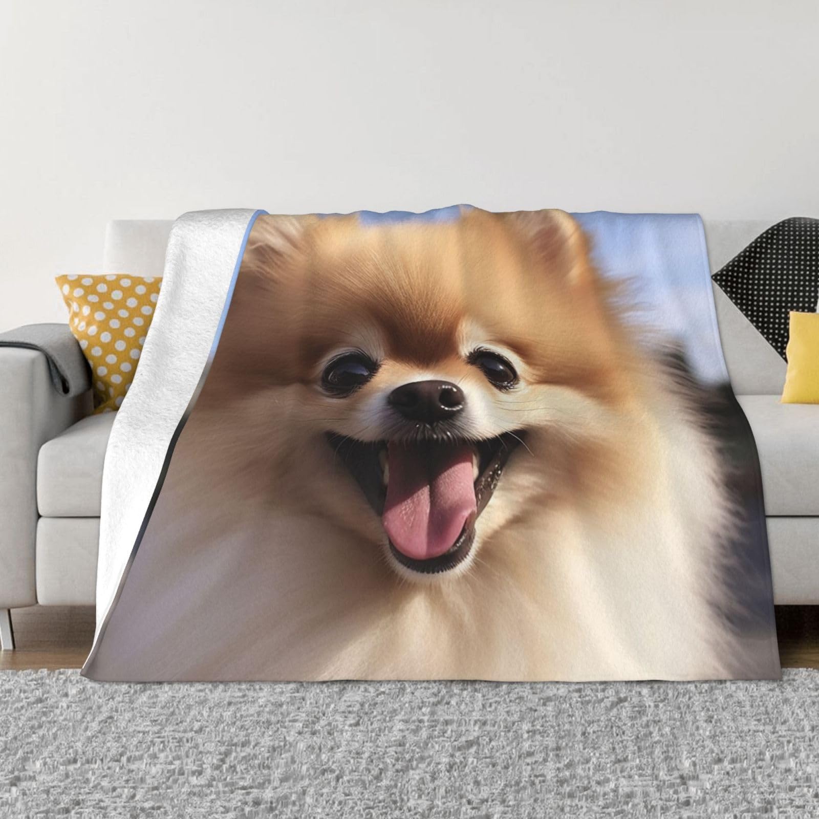 Couverture de Poméranie haut de gamme en micro-polaire ultra douce et flanelle
