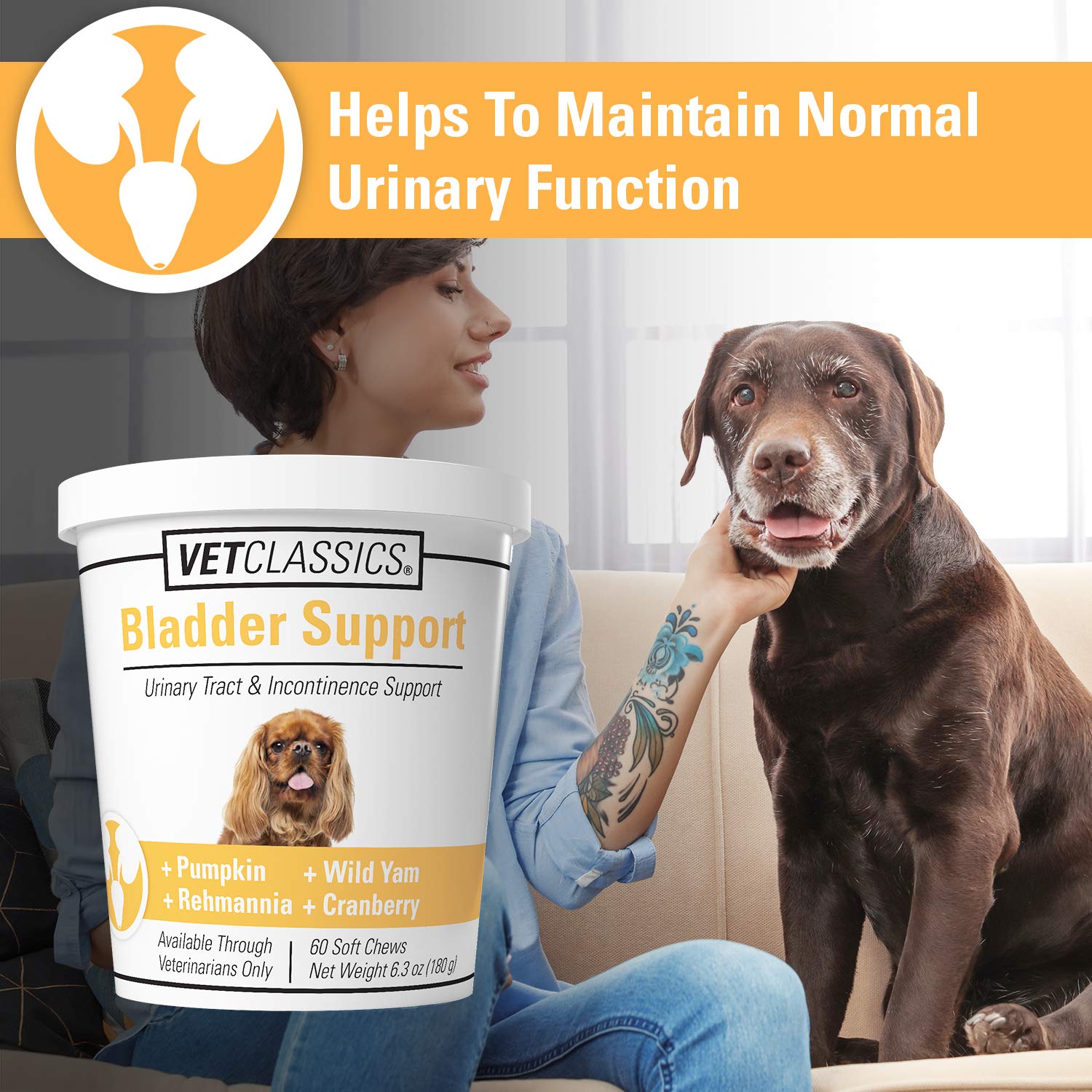 What Can You Give A Dog For Incontinence