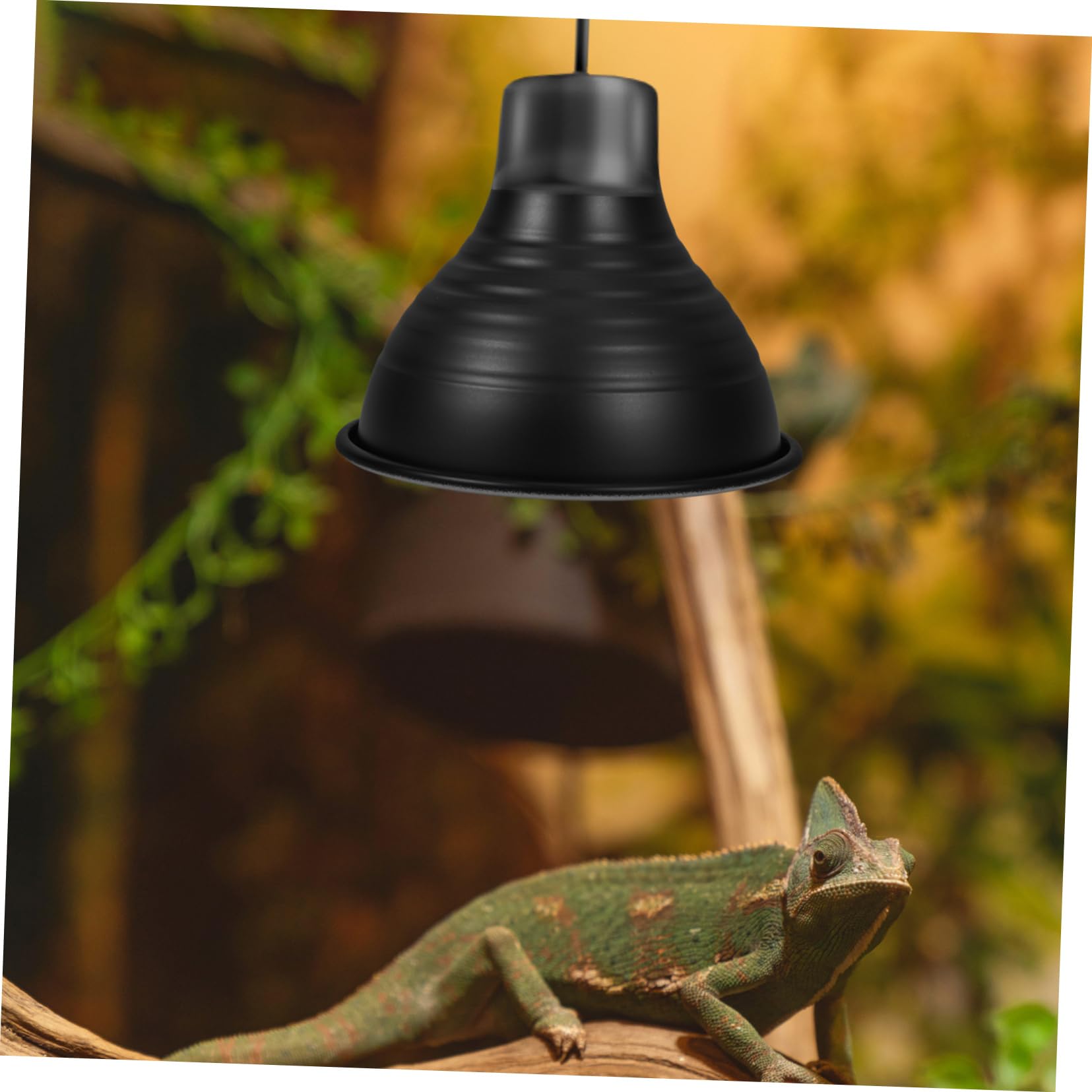 Cabilock 4 Piezas luminarias para reptiles calentador reptiles Accesorios de iluminación para reptiles protector de lámpara de calor para reptiles cúpula de lámpara de reptil planchar