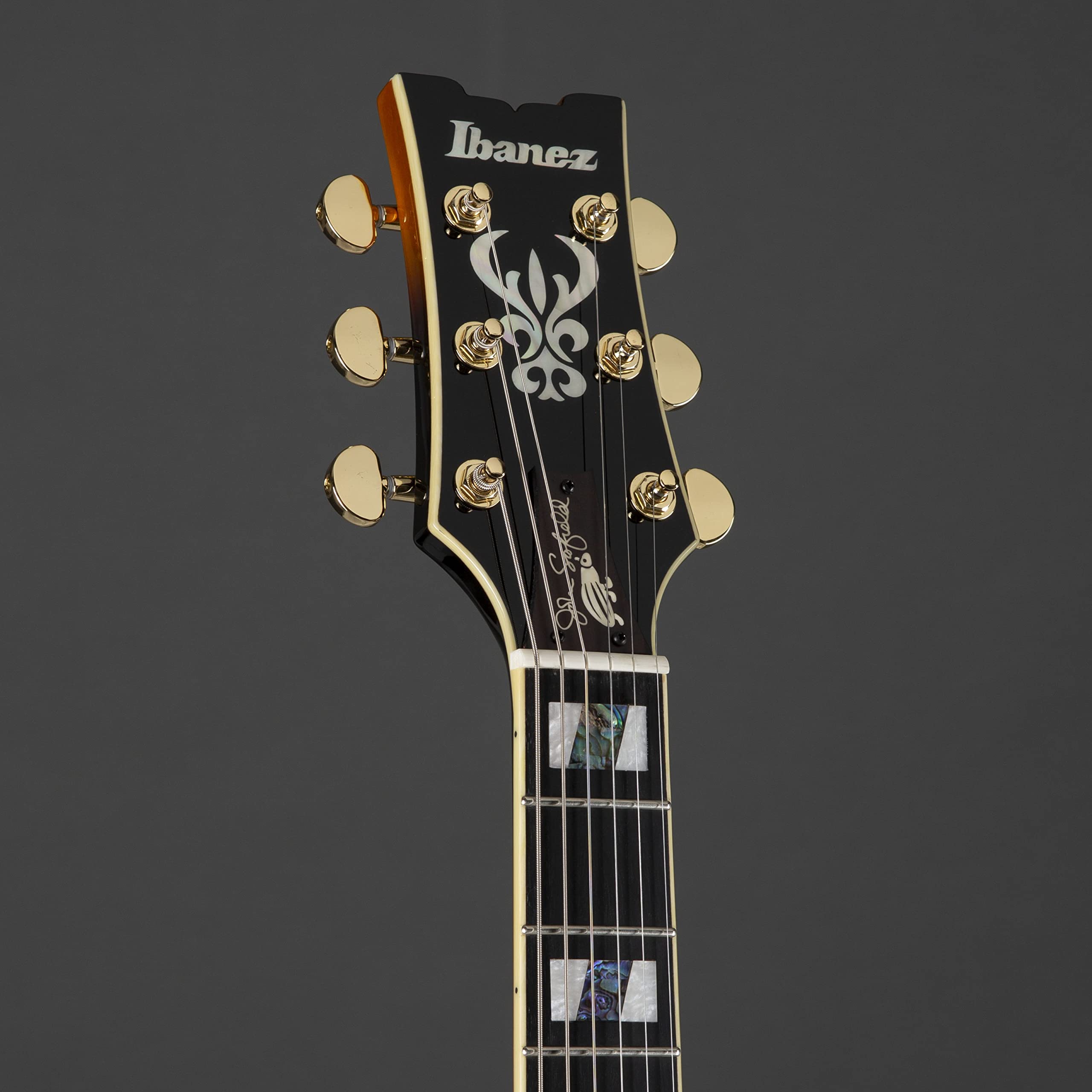 Amazon | Ibanez/John Scofield Signature Model JSM10-VYS Vintage