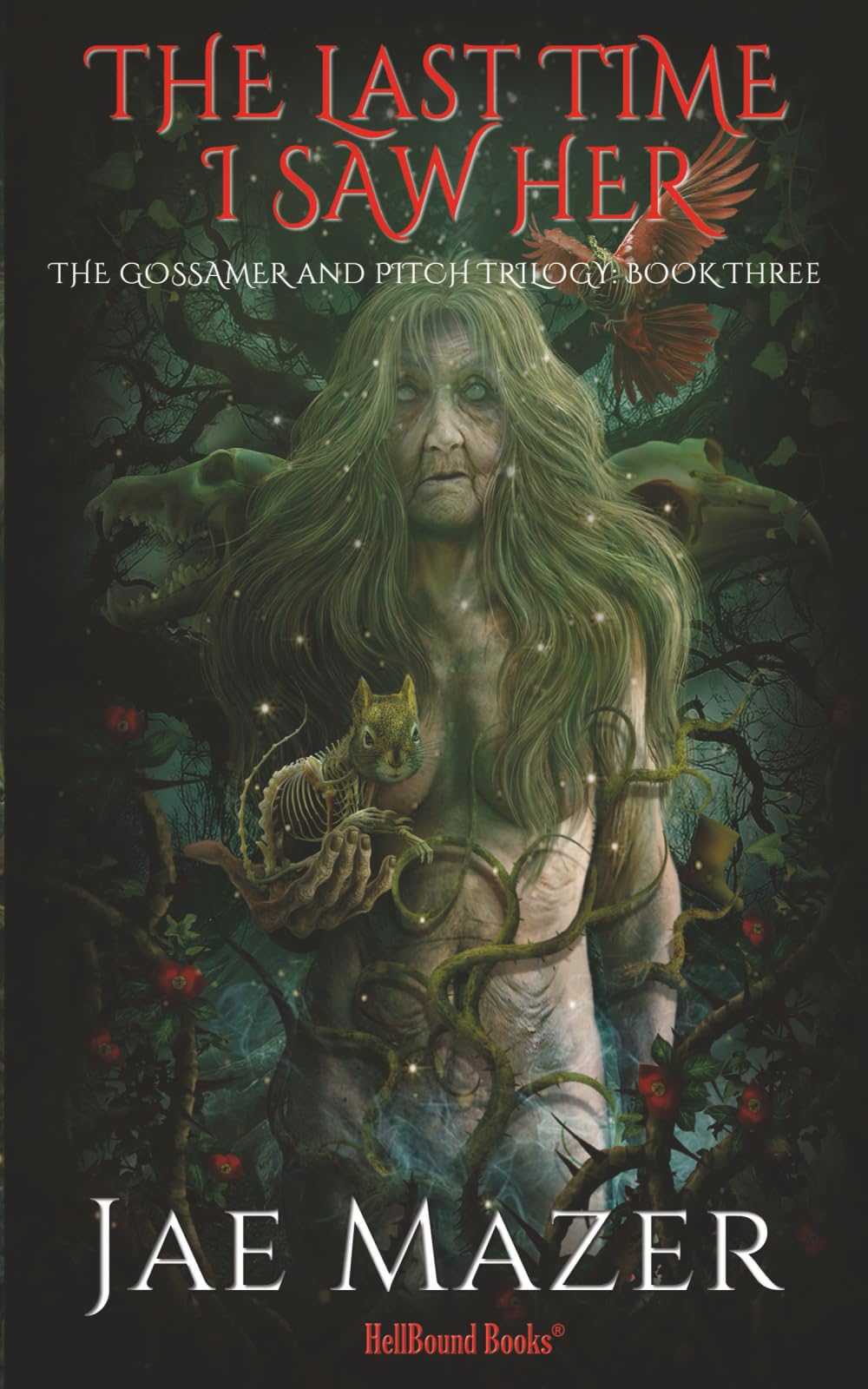 THe Last Time I Saw Her (The Gossamer And Pitch Trilogy)