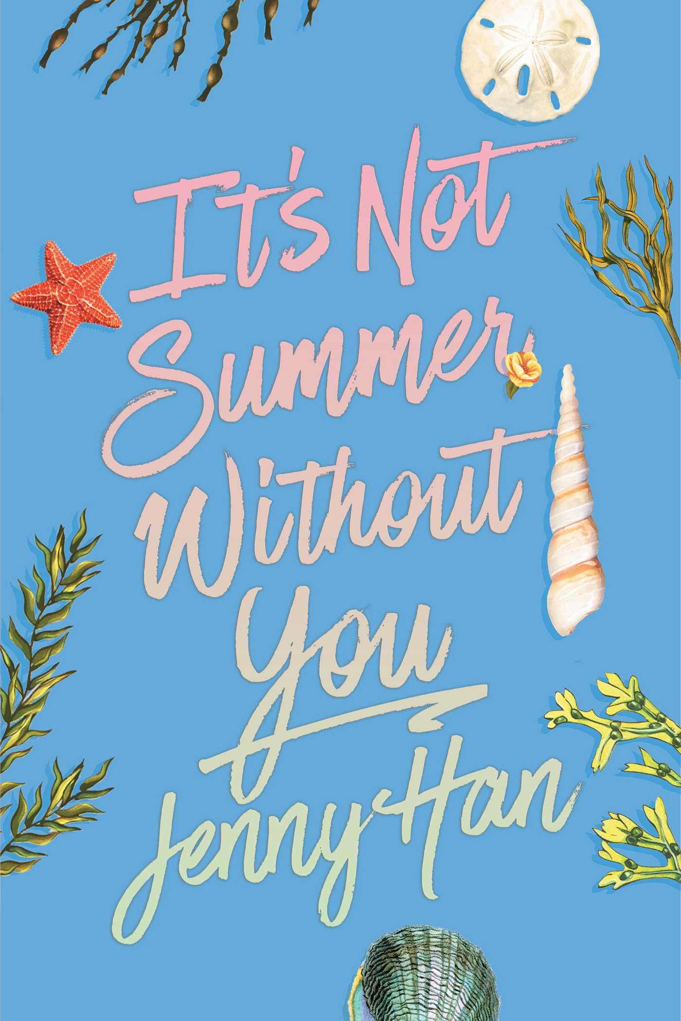 It's Not Summer Without You (Deluxe Edition) (Summer I Turned Pretty)