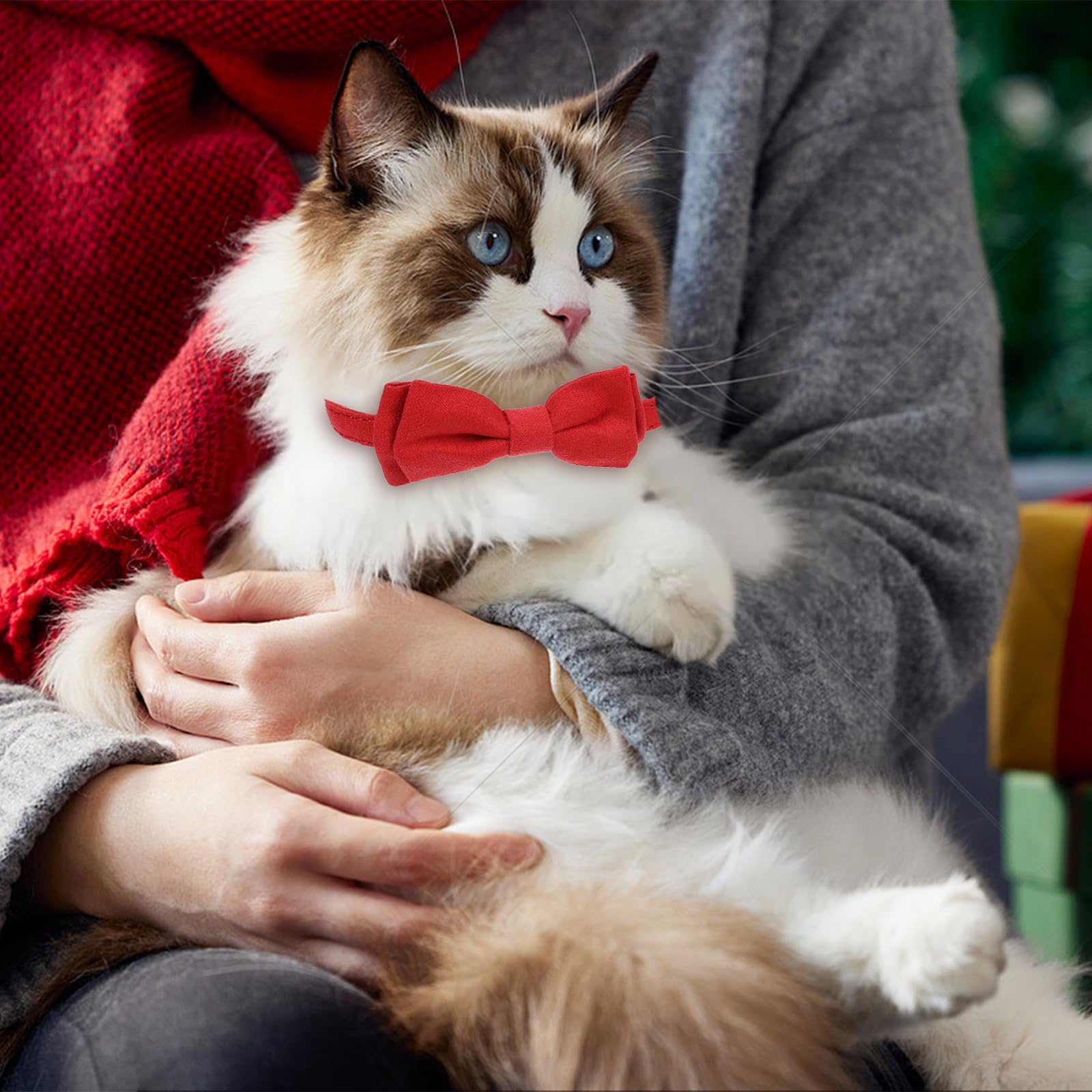 2pcs Velvet Bowtie Cat Collar with Bell, Adjustable Breakaway Cat Collars Kitten - Image 3