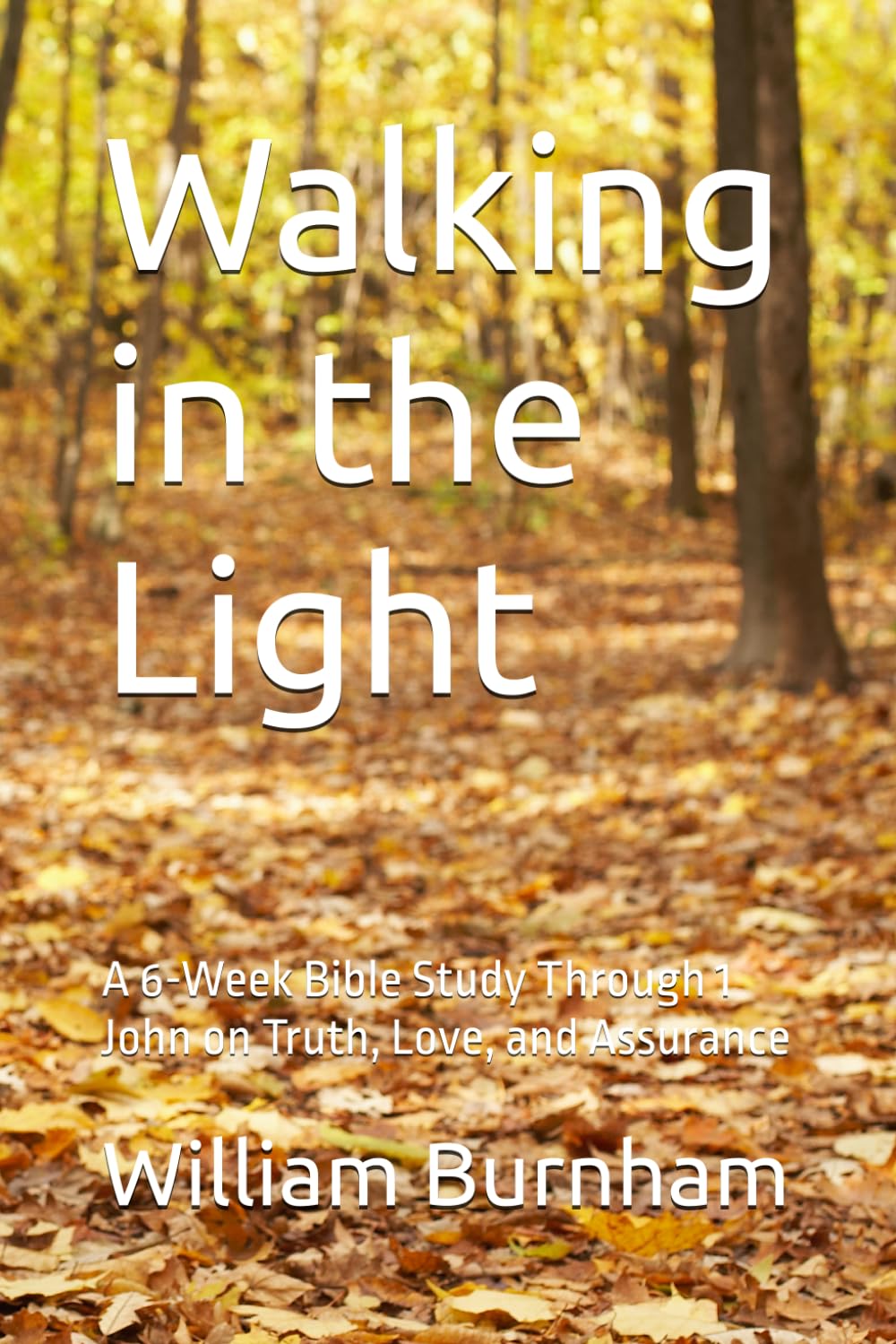 Walking in the Light: A 6-Week Bible Study Through 1 John on Truth, Love, and Assurance