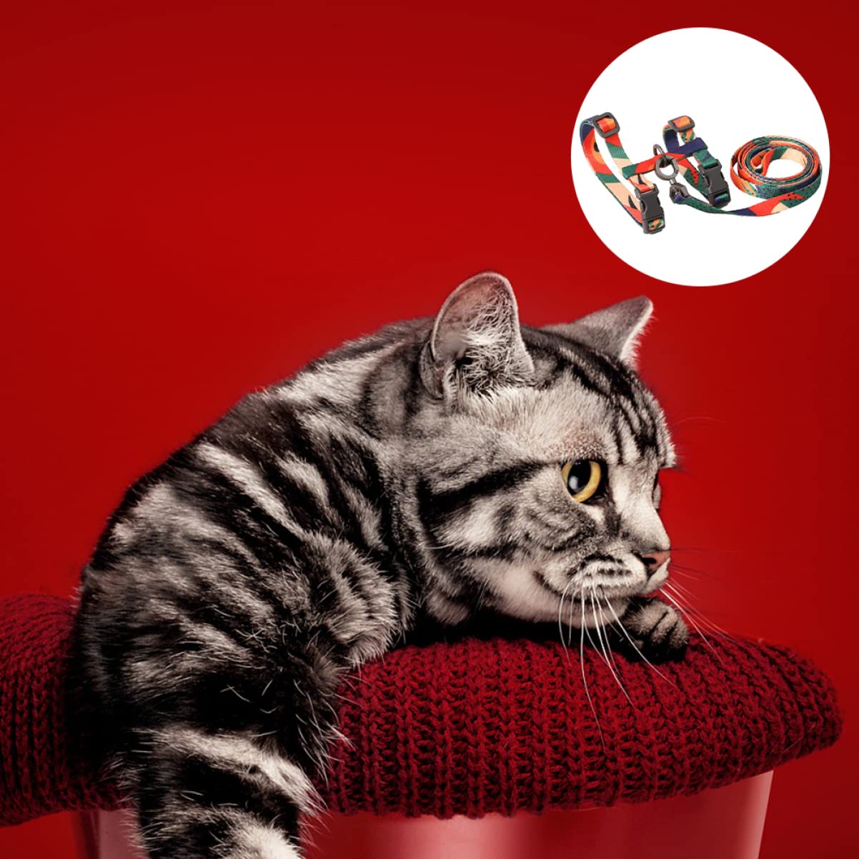 Mipcase 3pièces De Chat avec Laisse Élastique Sangle Antidérapante pour Promenade De Chat Harnet Léger Et Chic Accessoire Pratique