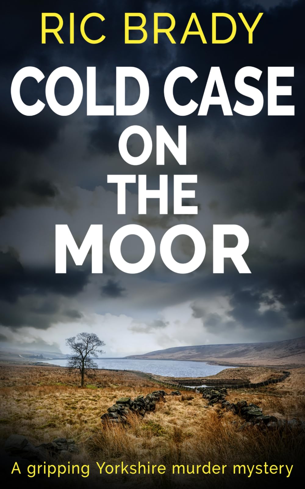 Cold Case on the Moor: A gripping Yorkshire murder mystery (The Yorkshire detective mystery series)