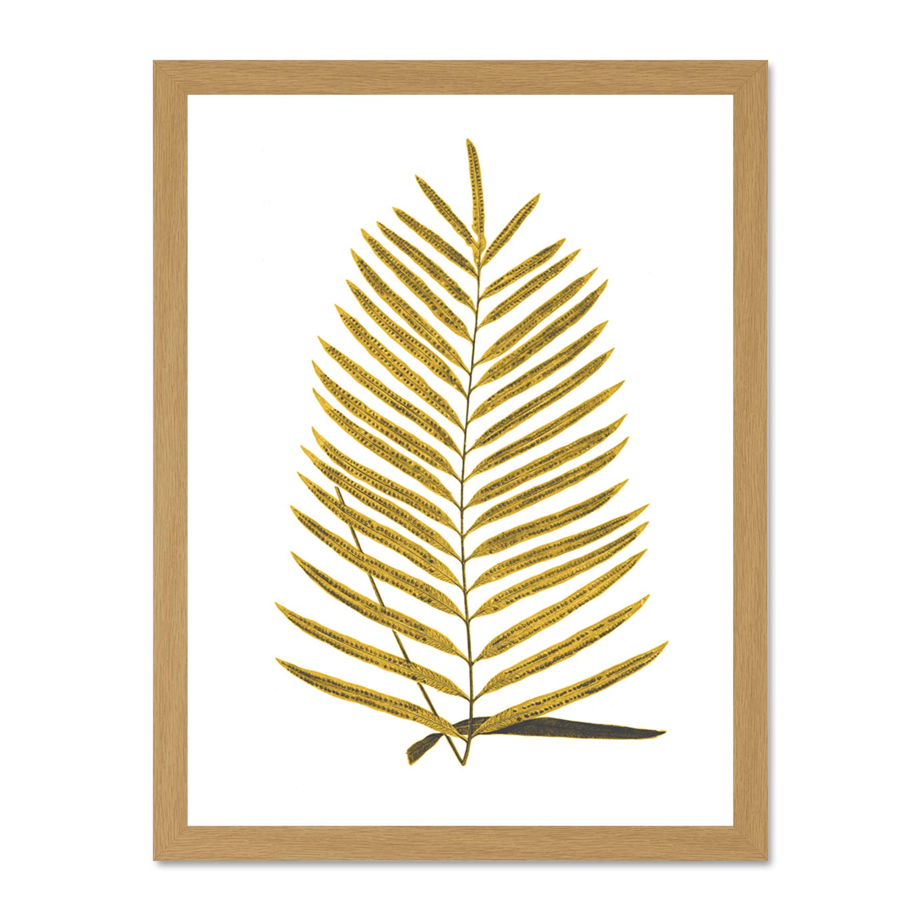 Wee Blue Coo Botanics Gold And Grey Fern Large Light Oak Framed Art Print Wall Poster 18x24 inch