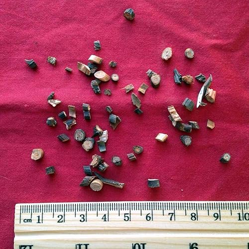 XYP Guizhi Gui Zhi 3.53 oz