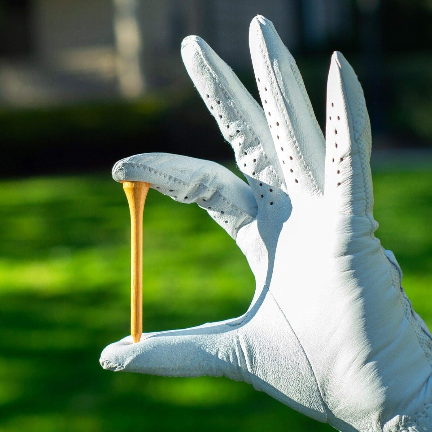 Wedge Guys Bamboo Golf Tees 2-3/4" & 3-1/4" | 100,250,500 or 1000 pcs. | Extra Durable & Stronger Than Wood Tees | Biodegradable & Less Friction | PGA Professional Approved, Golf Tees Bulk Bag