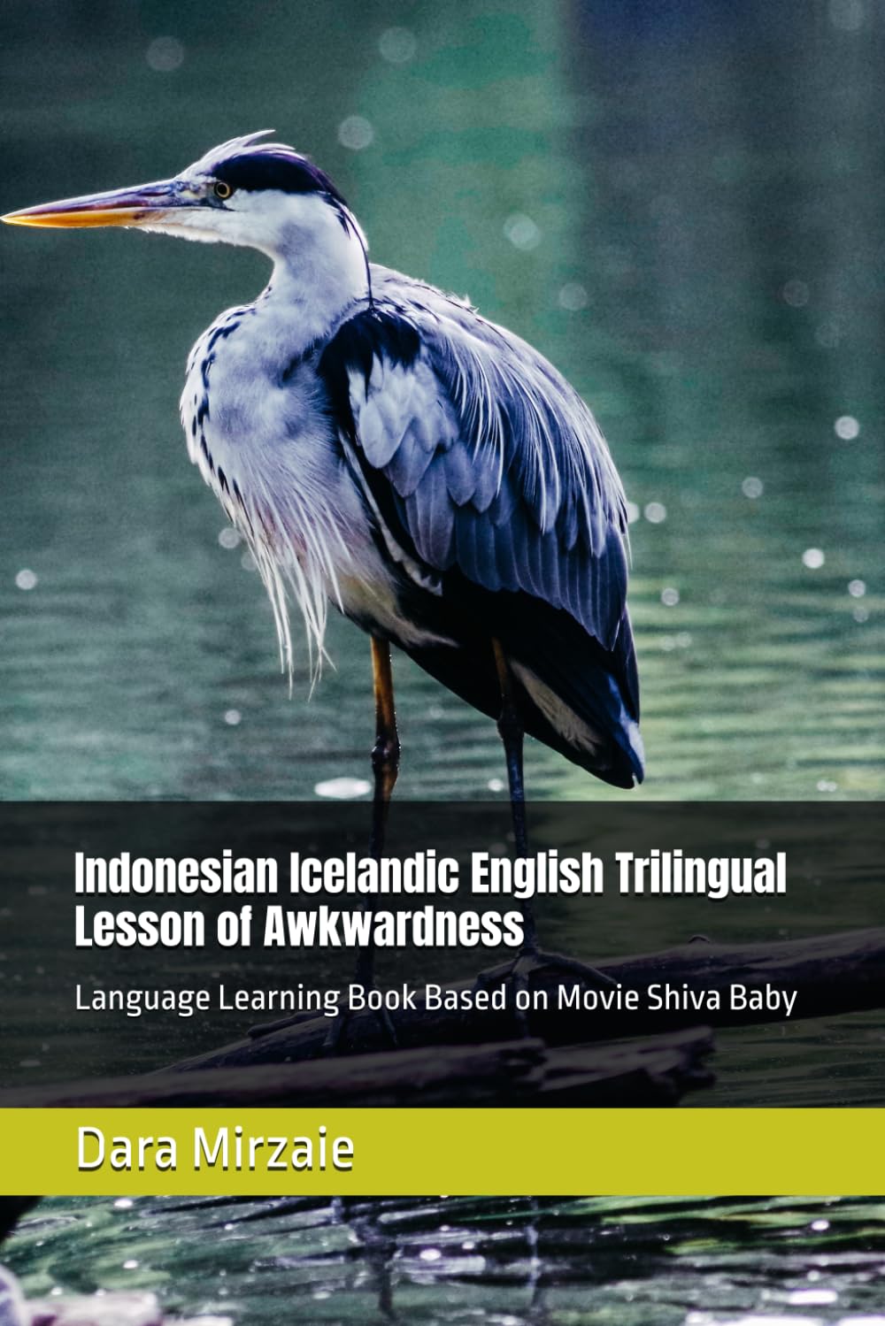 Indonesian Icelandic English Trilingual Lesson of Awkwardness: Language Learning Book Based on Movie Shiva Baby