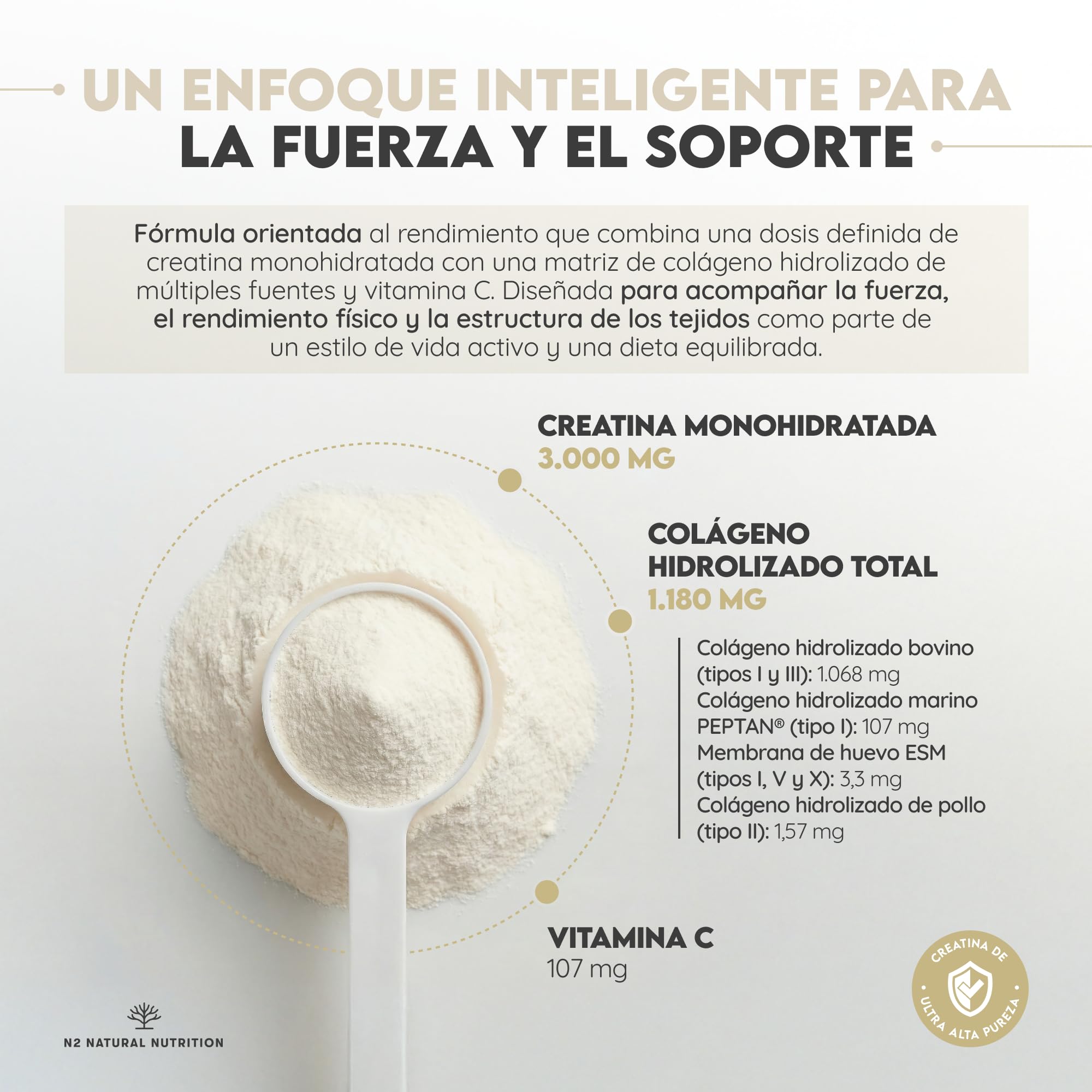 N2 Natural Nutrition. Creatina Monohidratada + Multi Colágeno Hidrolizado con Vitamina C en polvo (70 Dosis) 3000mg Creatina + Colágeno I,II,III,V y X–Sin Sabor–Soporte Muscular, Articulaciones, Piel