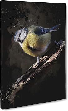 Blue Tit Bird Canvas Wall Art Print 30x20 Inch | Ready to Hang, Gallery Wrapped, Fade-Resistant Inks, Securely Packaged, UK Made