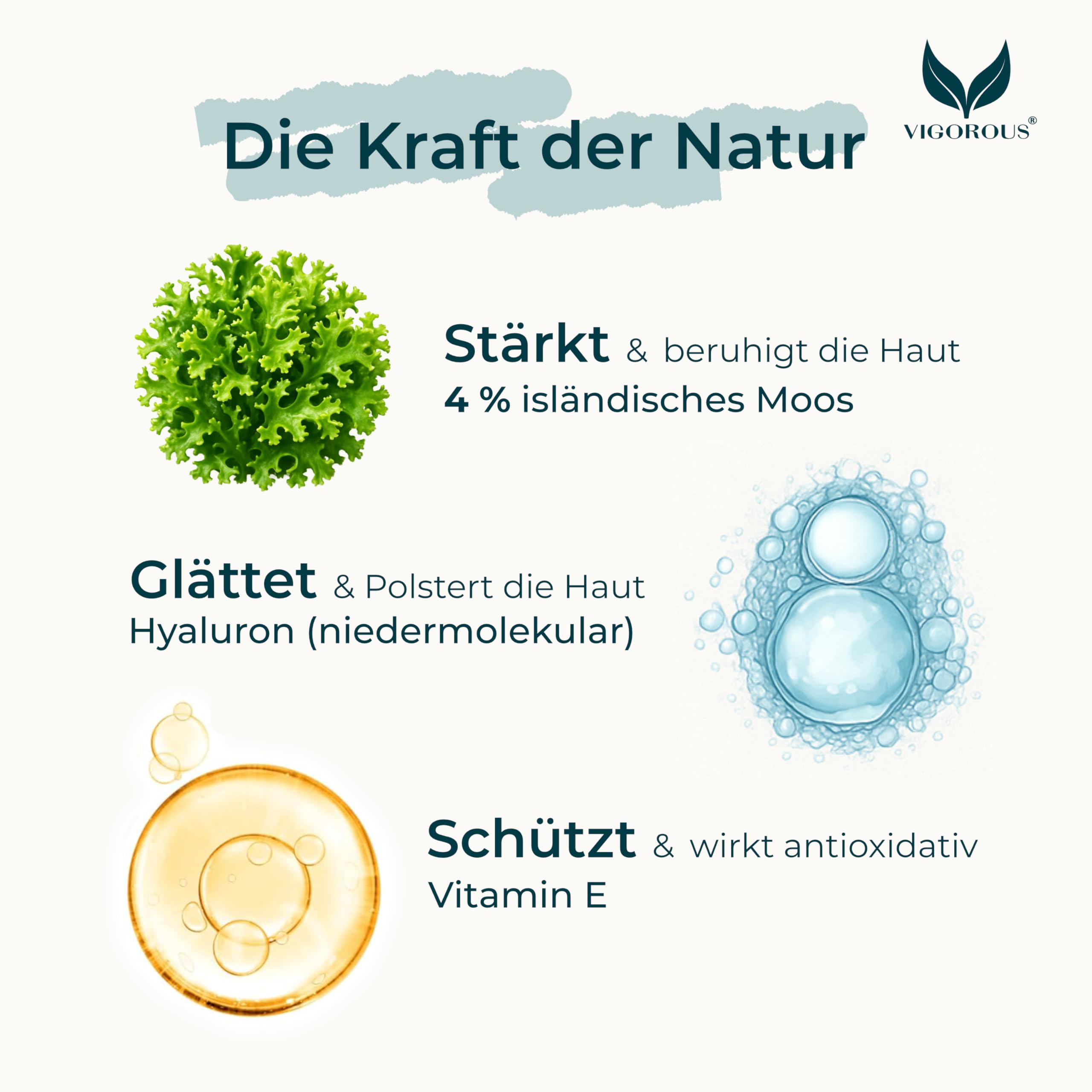 VIGOROUS® Moossalbe - 100ml Antifaltencreme soforteffekt - Naturkosmetik mit Hyaluronsäure - Anti Aging Gesichtscreme Damen & Herren - Vegane Feuchtigkeitscreme Gesicht Made in Germany (Packung mit 2)