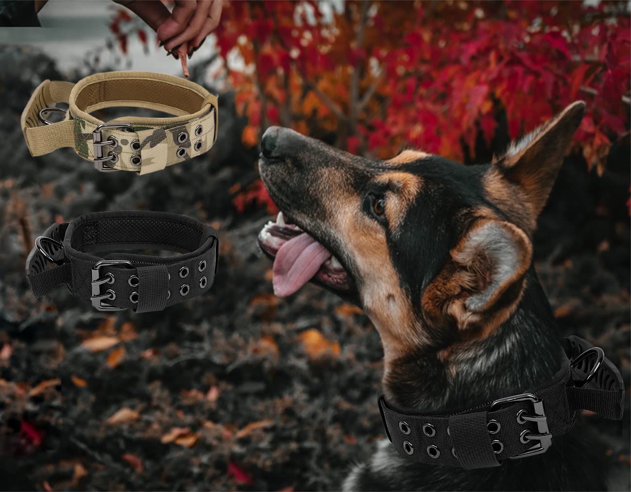 Collare Per Cani In Velluto A Coste - Ipoallergenico, Per Taglia Piccola, Pelle Sensibile, Blu-Grigio - Foto 4