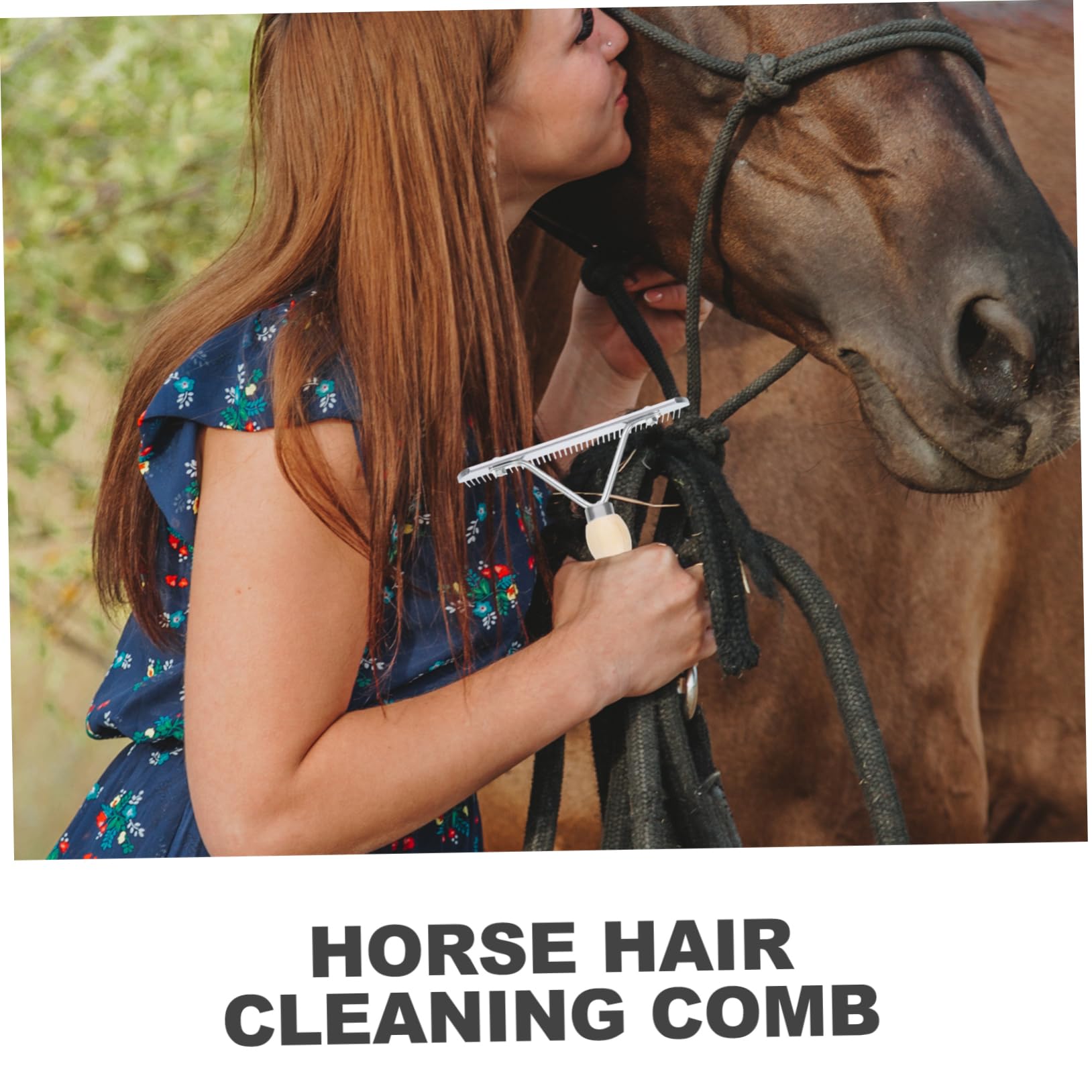 Sosoport 4piezas Cepillo De Limpieza De Caballo Mango De Herramienta De Cuidado Para Mascotas Accesorio Duradero y Ergonómico Para Higiene