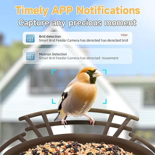Miniatura 2 de SuplutuX Comedero inteligente para pájaros con cámara AI para identificar más de 11000 especies de aves, alimentador solar para pájaros de captura