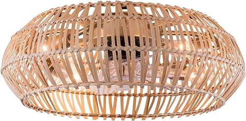 Miniatura 10 de Ventilador de techo bohemio de 20 pulgadas, ventilador de techo enjaulado con luz y control remoto, ventilador de techo de perfil bajo de estilo