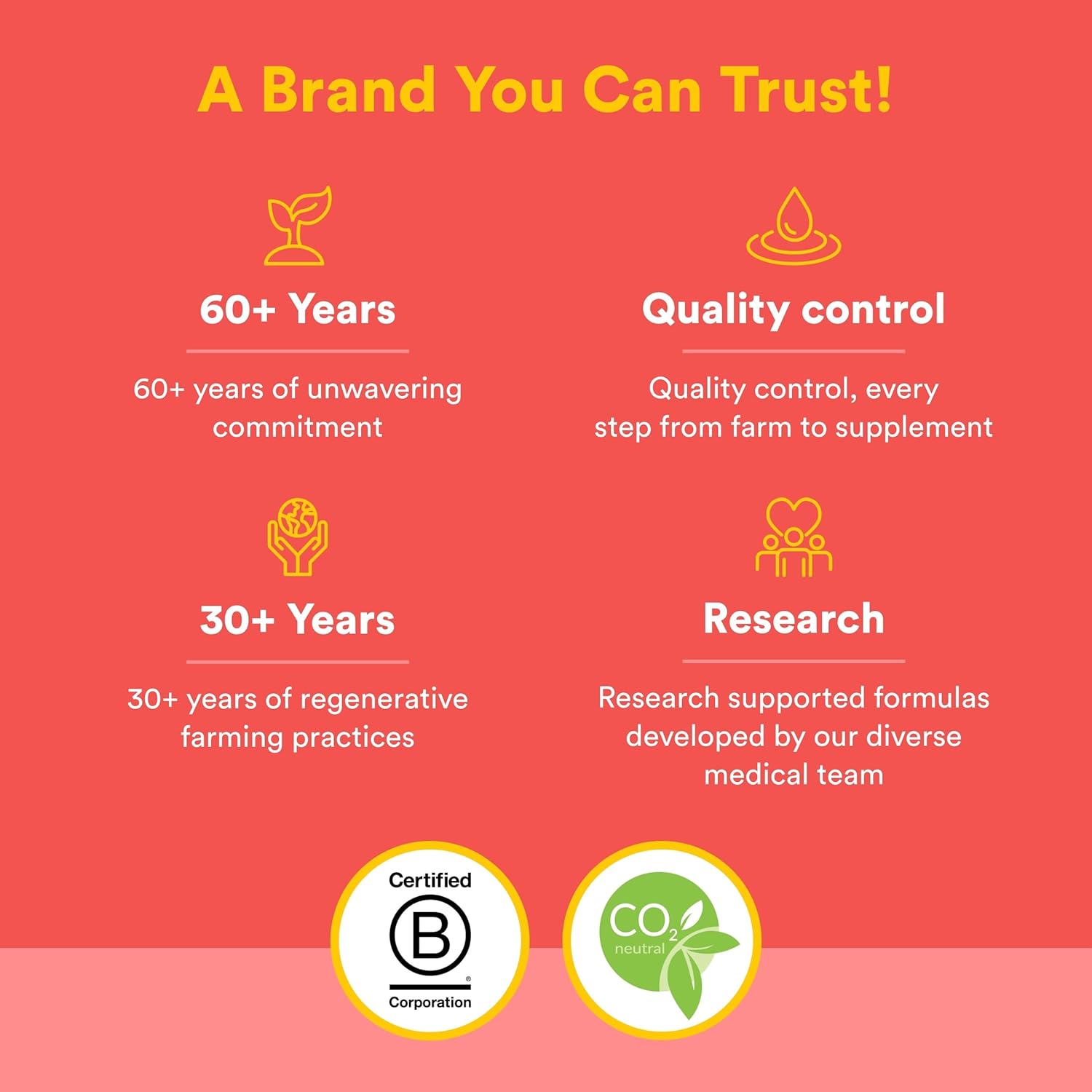 Natural Factors, Kids Chewable Vitamin C 500 mg, Supports Immune Health, Bones, Teeth and Gums, Peach, Passionfruit and Mango, 180 Wafers - Image 6