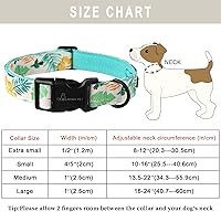 Vista 29 de Aring Pet Collar de algodón, ligero y ajustable, con hebilla de liberación rápida para perros pequeños, medianos y grandes, para cachorros, XS