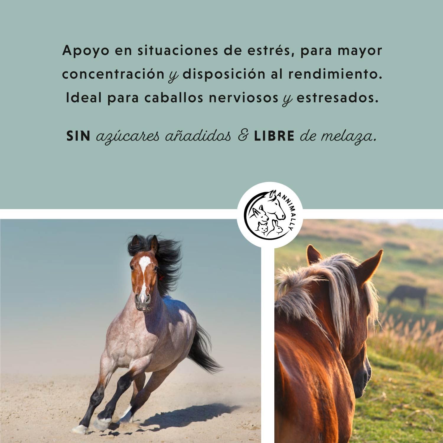 Annimally Pellets de Magnesio para Caballos 1 kg - Acetato de Magnesio y Óxido de Magnesio para una máxima biodisponibilidad