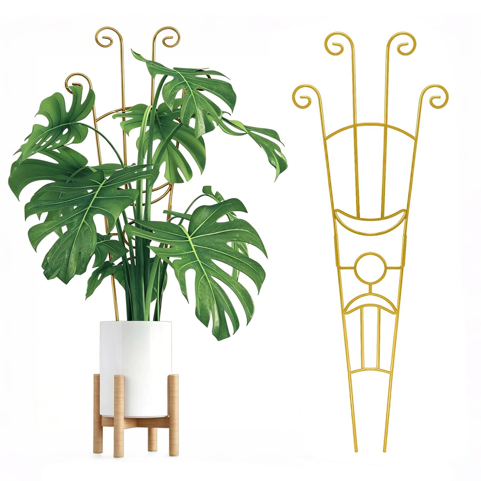 2 Pack Large Metal Plant Trellis for Climbing Plants Indoor & Outdoor, 83cm Expandable Rustproof Garden Trellis Support for Monstera, Roses, Ivy, Hoya & Potted Vines, Gold