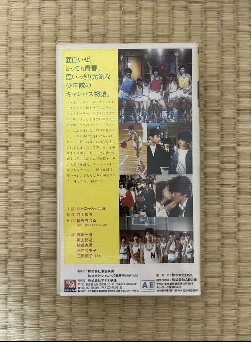 Amazon.co.jp: 映画 少年隊「あいつとララバイ」 錦織一清 東山紀之