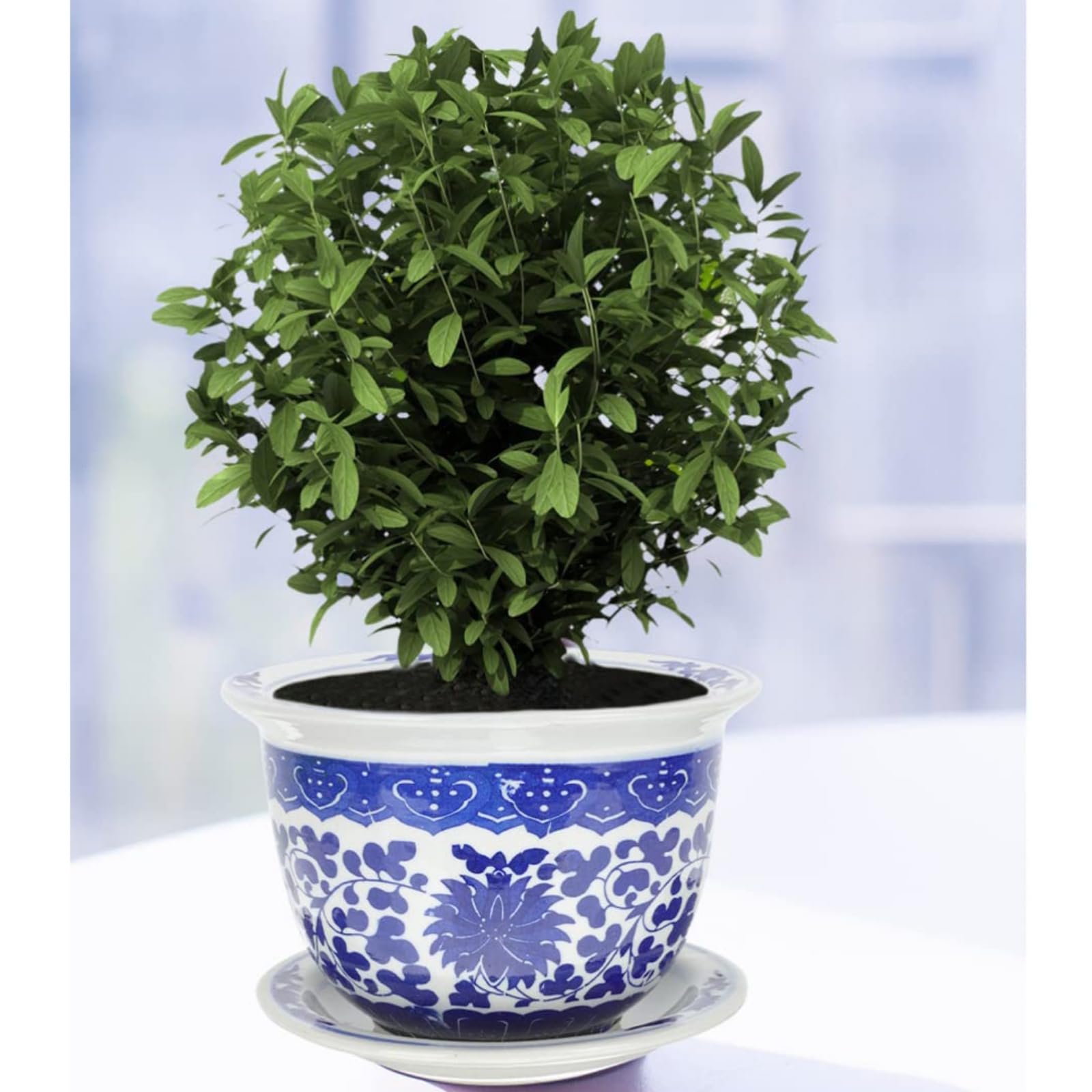 2 Soucoupes En Céramique Pour Plantes 17,8 Cm - Plateaux D'égouttement Bleus, Protection Sol Et Meubles | Pots D'intérieur - 2