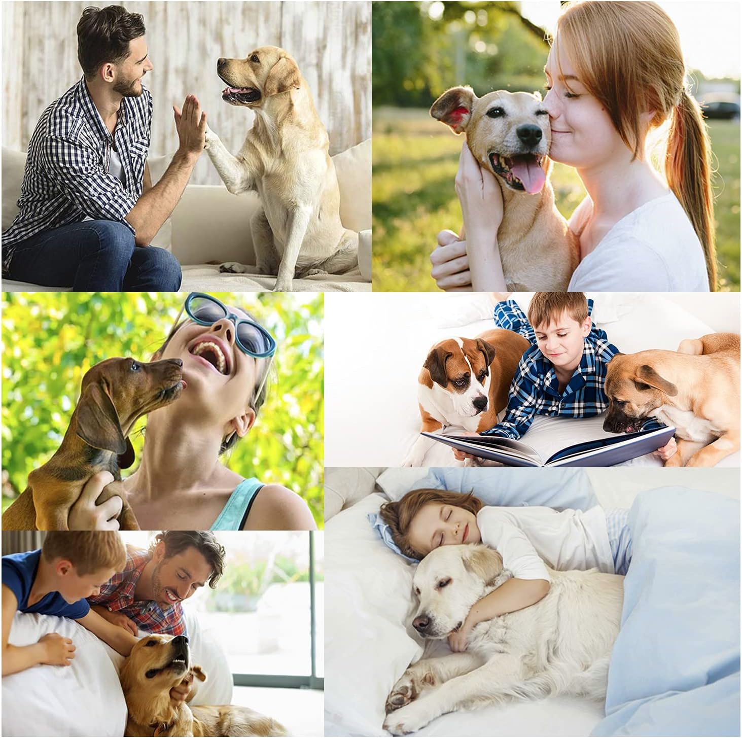 XINTONG Waterproof Dog Bed Cover Furniture Bed with Pet Blanket Washable Dog Pee Pad Super Soft Pet Bed Cover Dog Training Pad Brown W82 xL82 (model) : Pet Supplies