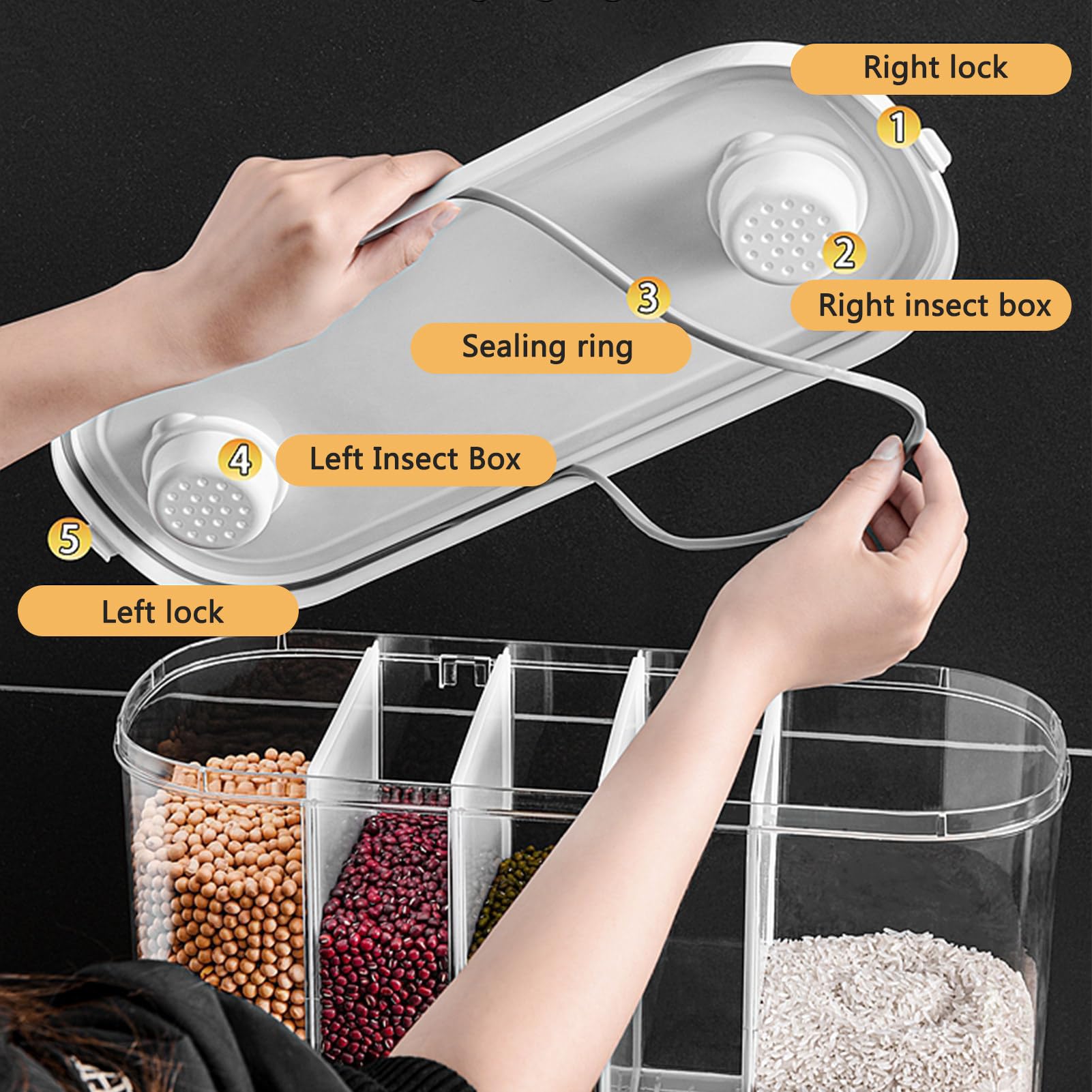 Distributore Di Cibi Montati A Parete - Di Contenitori Cereali Da 20 Kg | Secchio A Secco | Organizzatore Di Stoccaggio Della Cucina Con Sezioni Multipli Per Snack Di Riso Per La Gestione