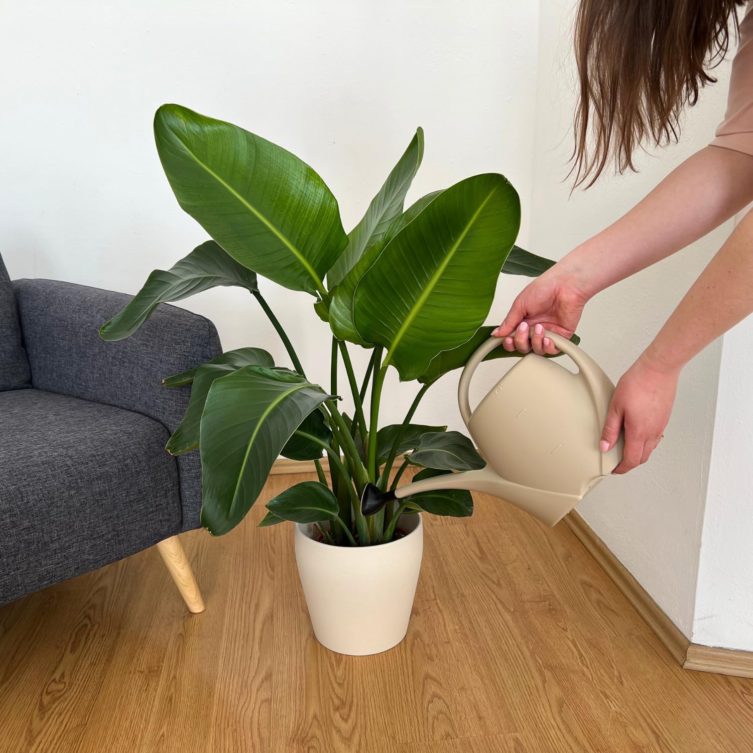 Regadera pequeña con Ducha para Plantas de Interior 2,5 L – Regadera de plástico Regadera para Interior y Exterior – Ideal para Plantas de Interior, Gris Ceniza