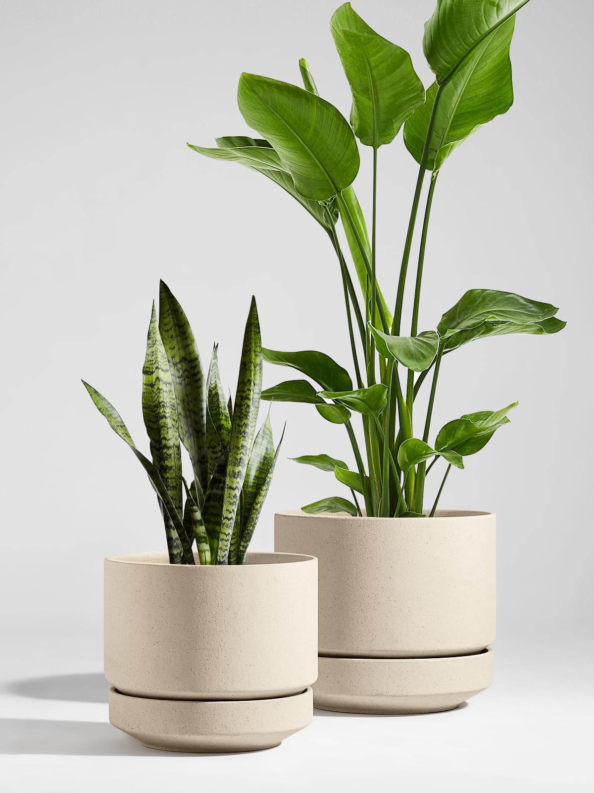LE TAUCI Maceta de Cerámica Grande 30 cm con Plato - Macetero Grande para Exterior E Interior, con Agujero de Drenaje, Rejilla y Tapón, No Esmaltada y Transpirable - Beige Arena