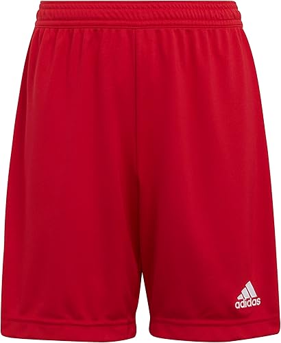 Miniatura 14 de adidas Pantalones cortos Entrada 22 para niños