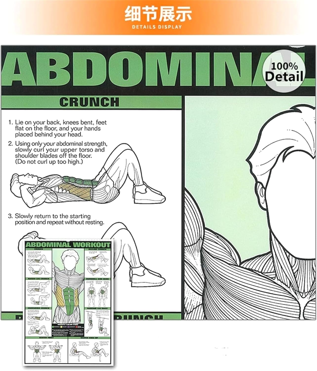Full-Body Workout Posters Set: 6PCS Charts for Triceps, Shoulder, Leg, Back, Chest, Abs