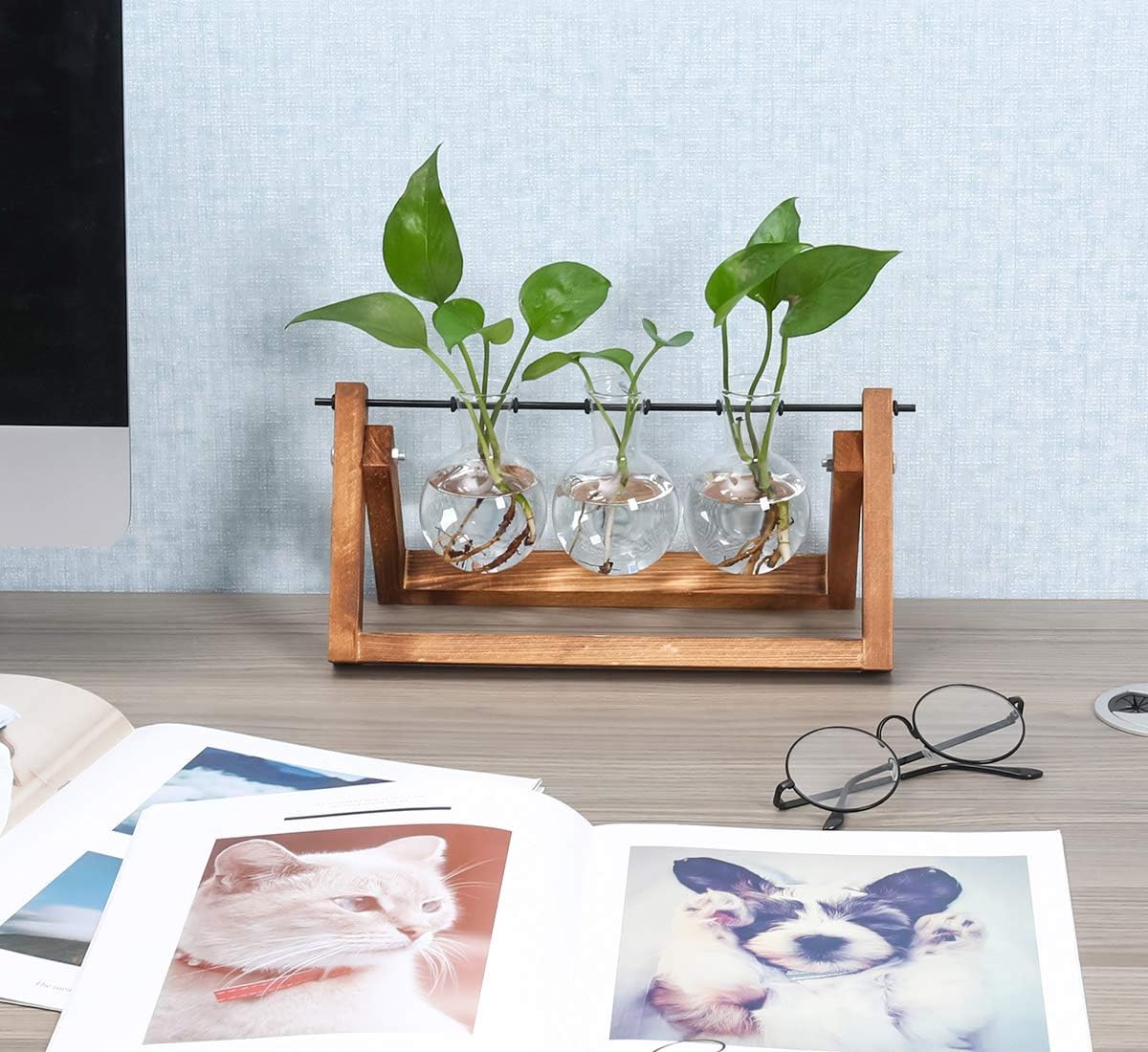 TQVAI Air Planter Terrarium Glass Vase(3 Bulb Vase) with Retro Wooden Stand and Metal Swivel Holder Cute Air Plant Globe - Ideal for Home Office Decoration, Swinging Style : Patio, Lawn & Garden