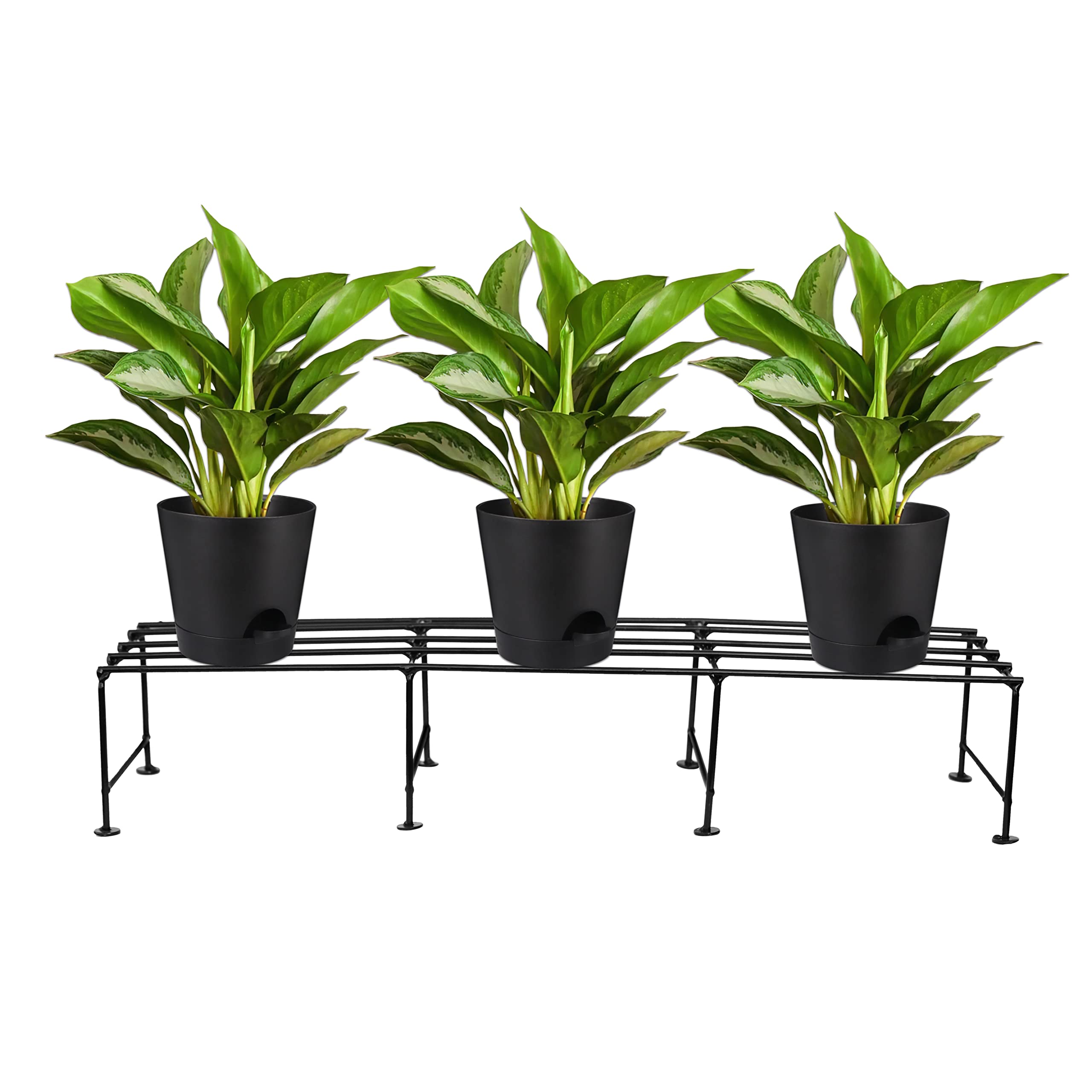ASIAN AURA Heavy Duty Rectangular Flower Pot Stand |Multipurpose Metal Plant Container Stand| Indoor & Outdoor Use |Ideal for Home Garden, Balcony, Living Room, Patio & Home Decor |Pack of 1 |Black (B0B2194Y1X) Amazon Price History, Amazon Price Tracker