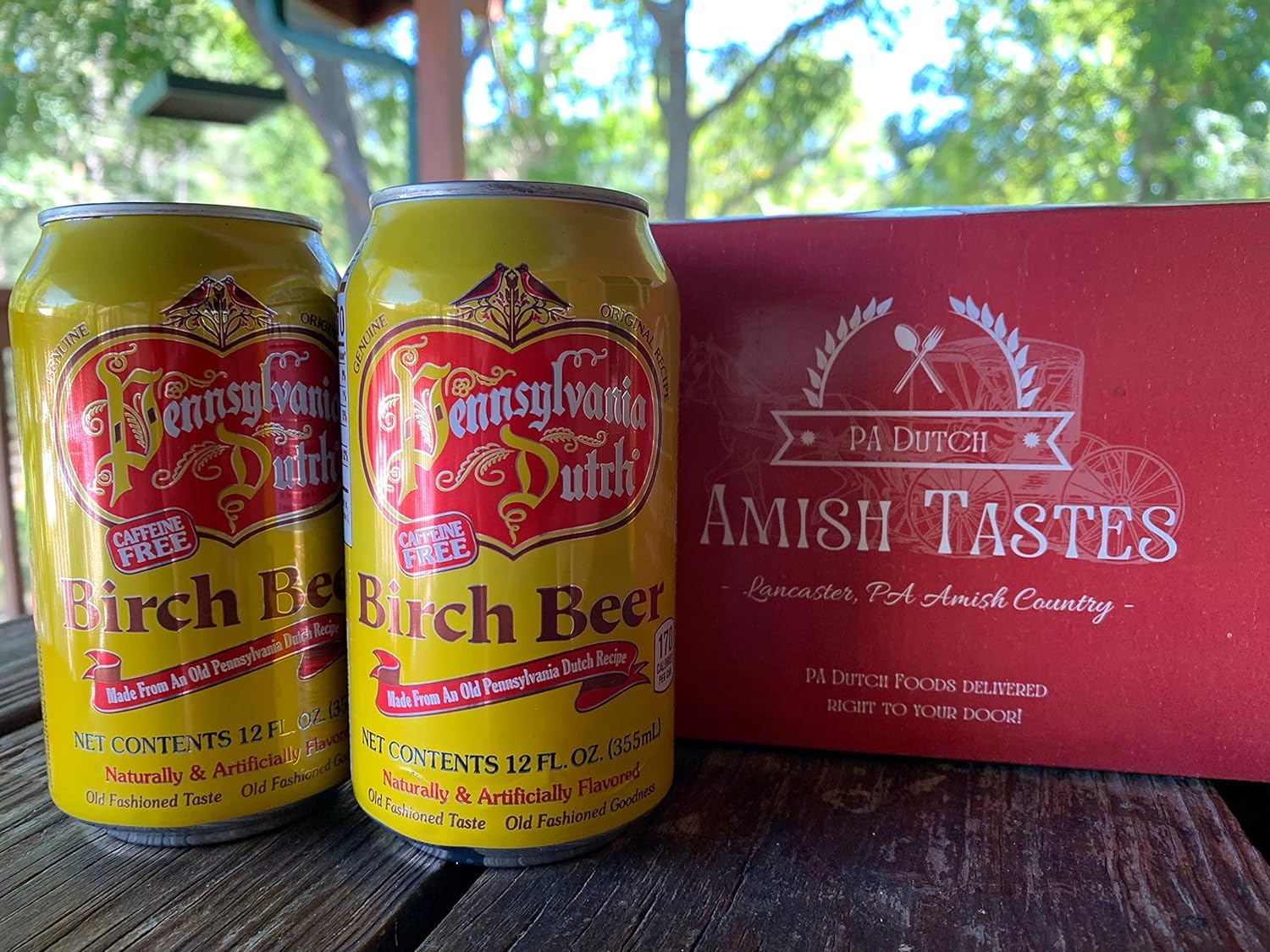 AmishTastes PA Dutch Birch Beer in Horse 'n Buggy Box, Protected With High-Density Foam, 12 Oz. (Pack of 8)