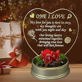 SAFRI Led Lights One I love Gift Ideal For Girlfriend Boyfriend Husband Wife Her Him Fiance Birthday Engagement Wedding Anniversary Valentines Day Gifts