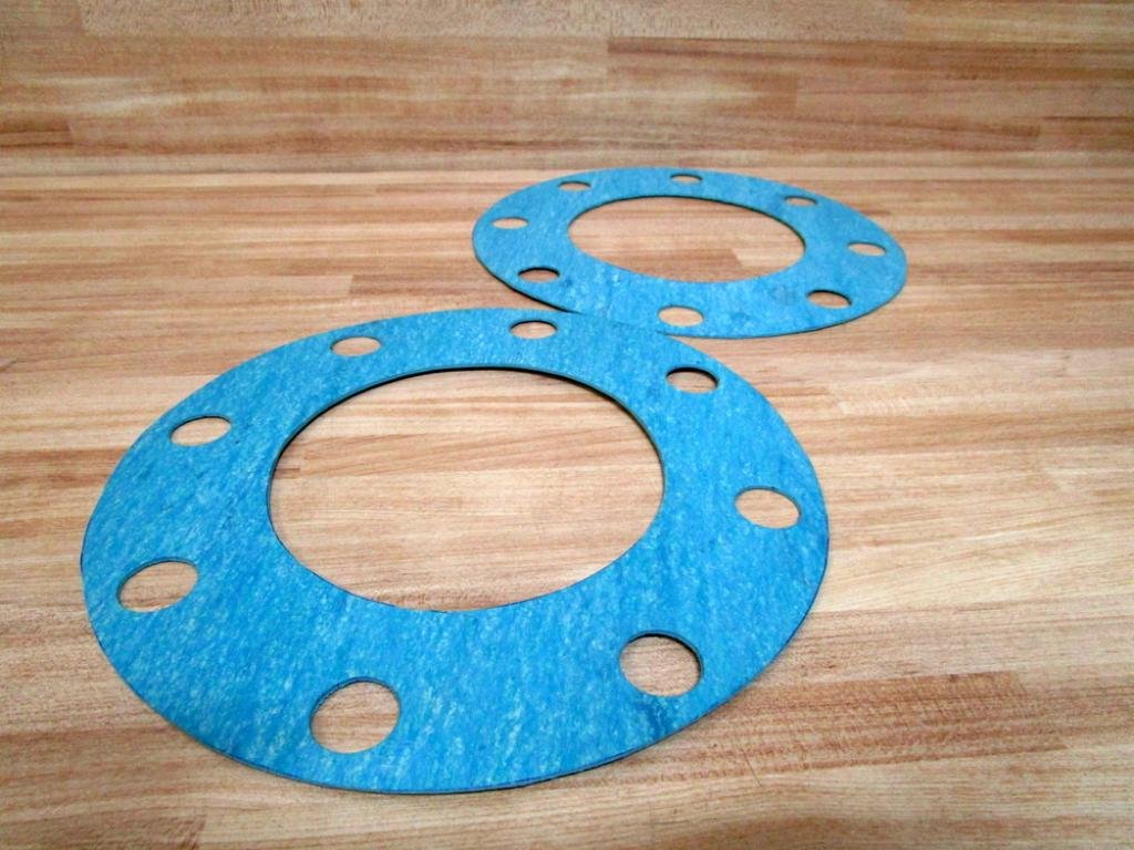 11307913 Gasket (Pack of 2)