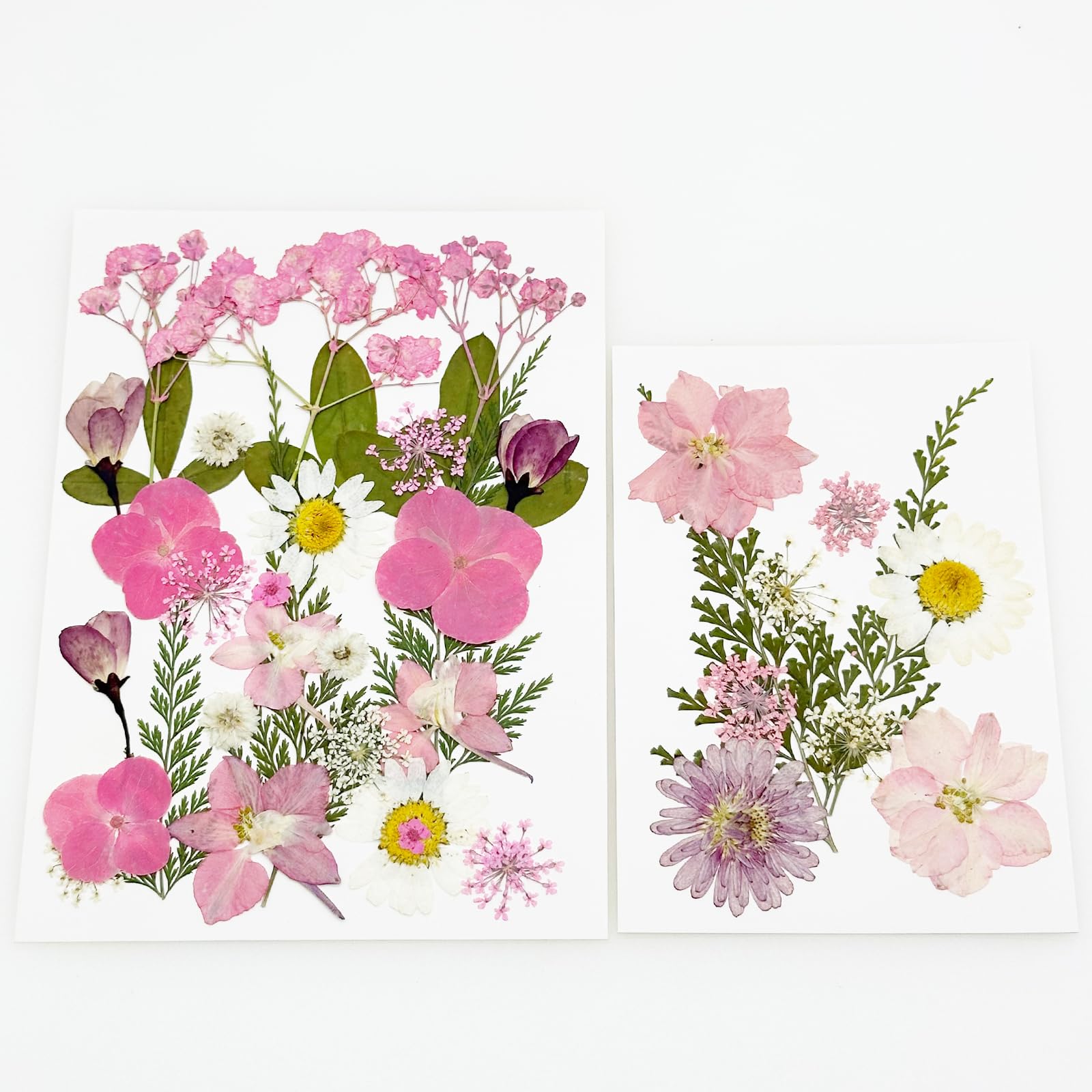 Cayway 40 PCS Natural Dried Pressed Flowers, Pink Natural Dried Pressed Leaves - Image 4