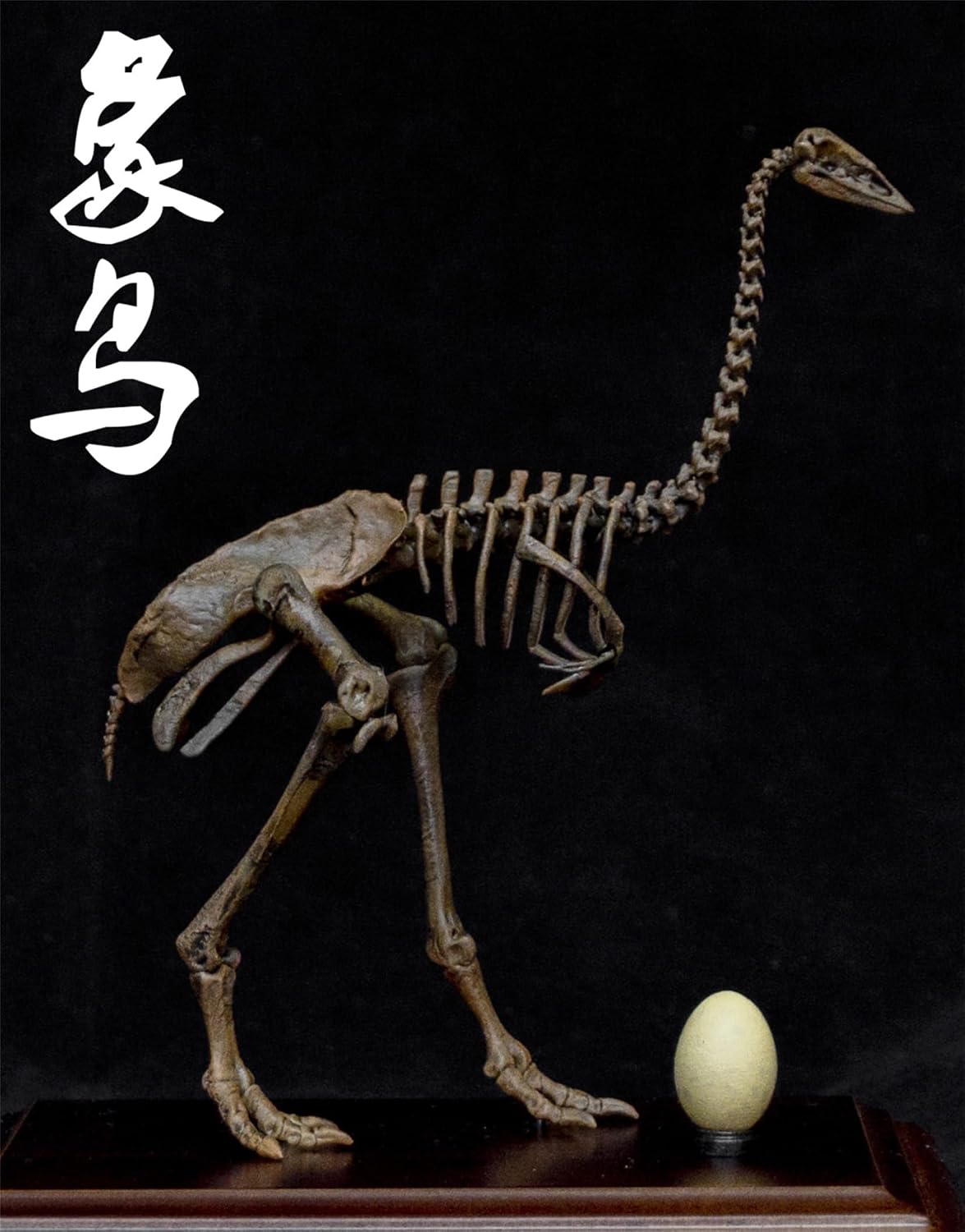 VWUVWU 1:20 Scale Aepyornis Figure Aepyornithidae Skeleton Collector Resin Animal Model GK Dinosaur Decor Gift for Adult (1/20)