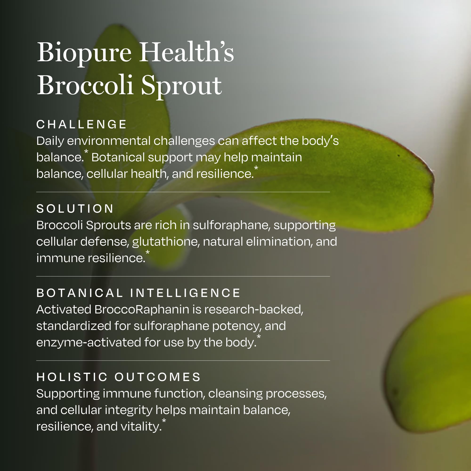 BioPure Broccoli Sprout Supplement – Phytonutrient-Rich Powerhouse Loaded with Bioactive Compounds, Including Sulforaphane, for Immune Function, Brain Health, Gut Balance, & Detox – 90 Capsules : Health & Household