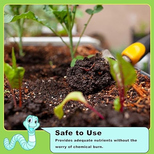 Miniatura 4 de Doter, fertilizante orgánico de 2.2 libras de Worm Castings para jardinería, tomate, fresa, flor y hierbas
